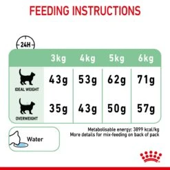 Royal Canin Digestive Care Adult Cat Dry Food -KONG Shop ROYA 3182550752008 13