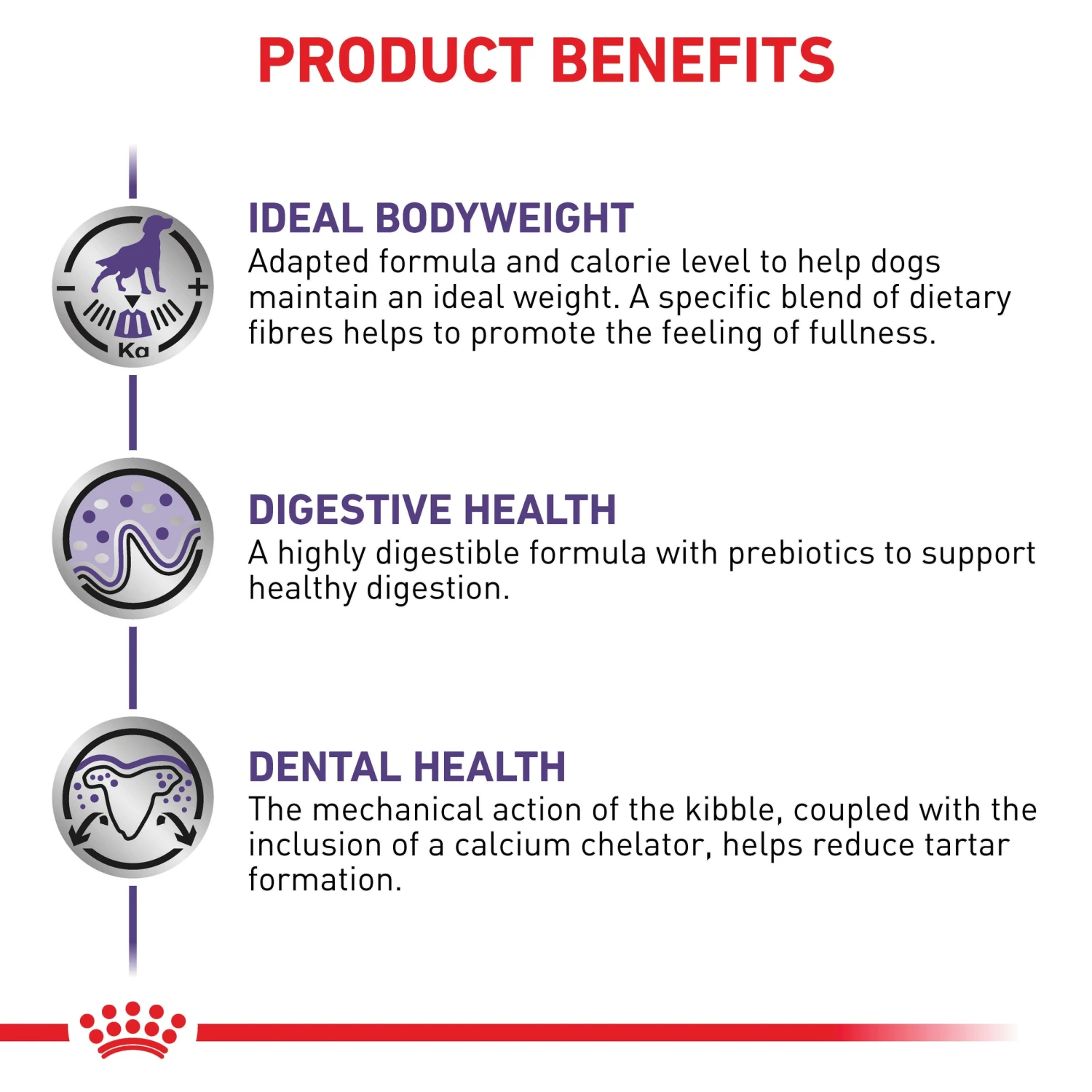 Royal Canin Expert Neutered Small Breed Adult Dog Dry Food 6 Royal Canin Expert Neutered Small Breed Adult Dog Dry Food - Image 4