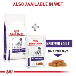 Royal Canin Expert Neutered Adult Medium Breed Dry Dog Food -KONG Shop ROYA 3182550761789NZ2 12