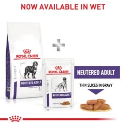 Royal Canin Expert Neutered Large Breed Adult Dog Dry Food -KONG Shop ROYA 3182550761925NZ2 12 36259417 a6f7 4e79 a168 42ec57b11996