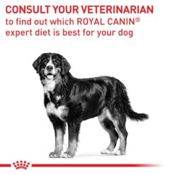 Royal Canin Expert Neutered Large Breed Adult Dog Dry Food -KONG Shop ROYA 3182550761925NZ2 13 0db97658 e407 4c89 b5d0 5e83c7669ddf