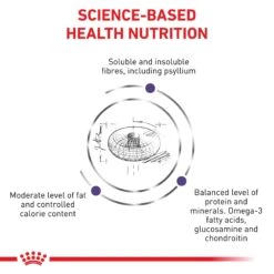 Royal Canin Expert Neutered Large Breed Adult Dog Dry Food -KONG Shop ROYA 3182550761925NZ2 8 b3ca62bb 7e00 4da6 8a6e cb3277ee7f93