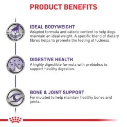 Royal Canin Expert Neutered Large Breed Adult Dog Dry Food -KONG Shop ROYA 3182550761925NZ2 9 08d06a4f c109 4d94 b980 84855917eb8a