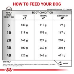 Royal Canin Veterinary Gastrointestinal High Fibre Adult Dog Dry Food -KONG Shop ROYA 3182550771207NEW 11