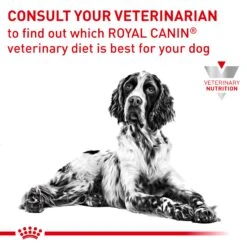 Royal Canin Veterinary Gastrointestinal High Fibre Adult Dog Dry Food -KONG Shop ROYA 3182550771207NEW 13