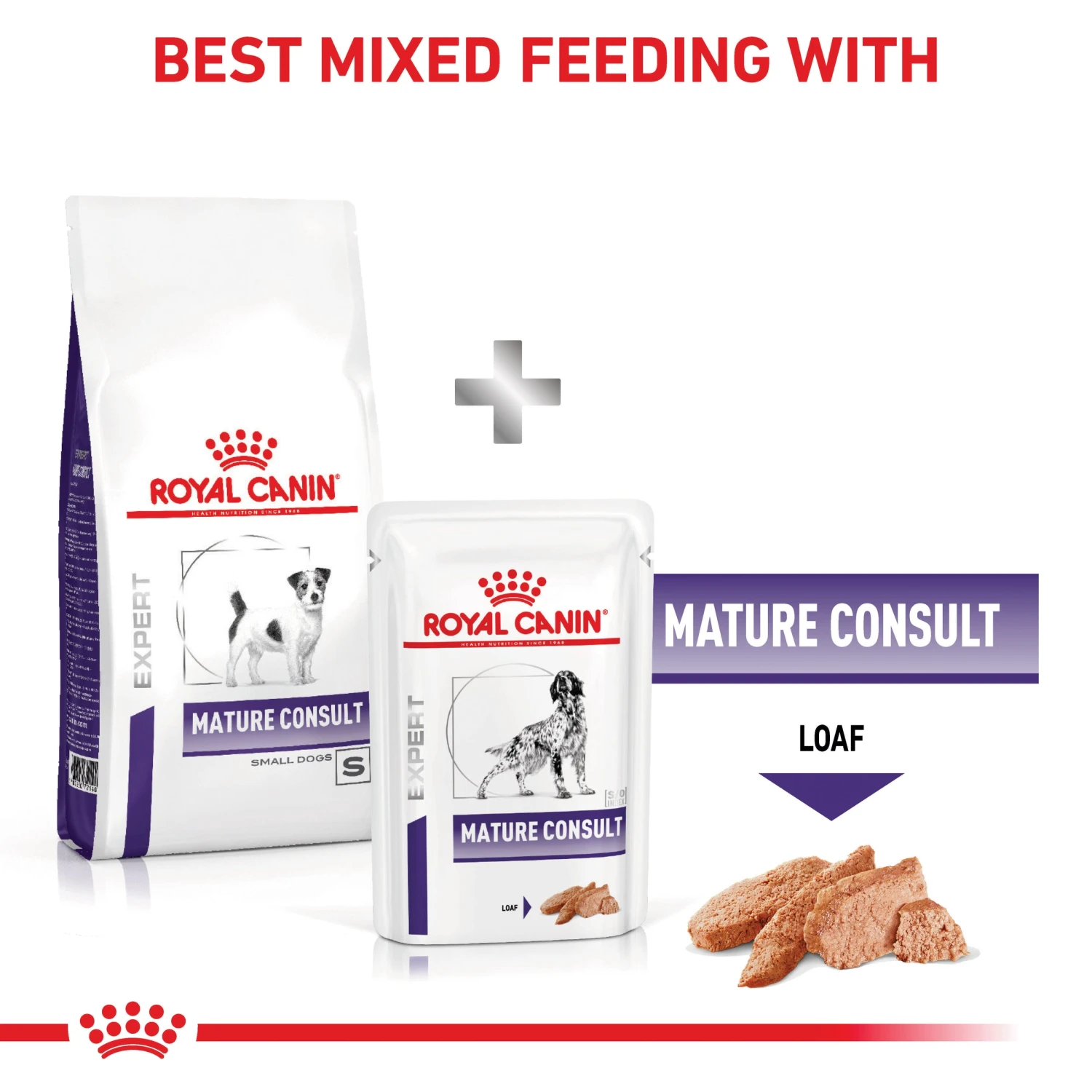 Royal Canin Expert Mature Consult Small Breed Adult Dog Dry Food 8 Royal Canin Expert Mature Consult Small Breed Adult Dog Dry Food - Image 7