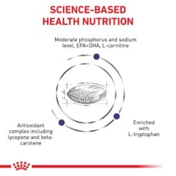 Royal Canin Expert Mature Consult Small Breed Adult Dog Dry Food 12 Royal Canin Expert Mature Consult Small Breed Adult Dog Dry Food -KONG Shop ROYA 3182550782005NZ2 8