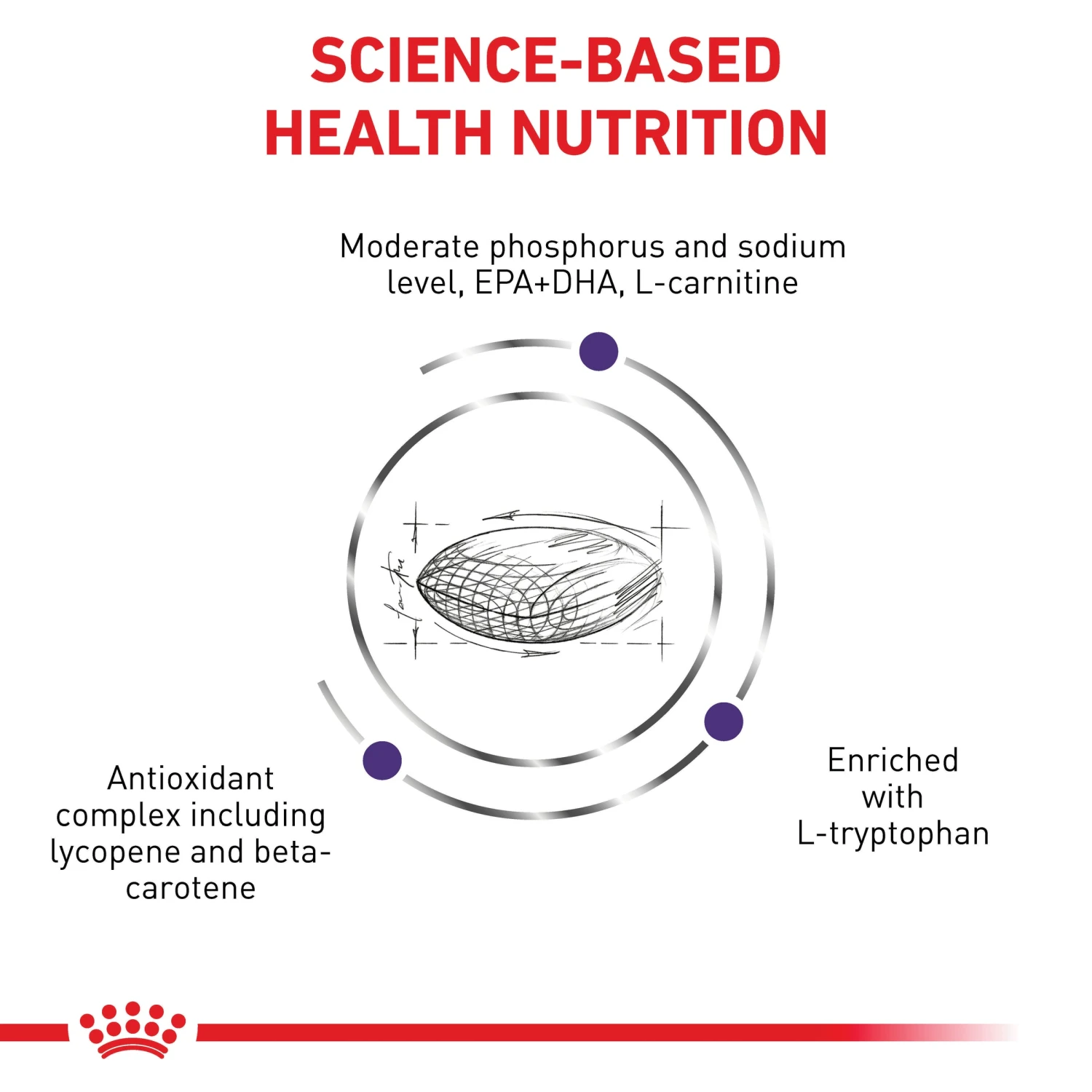 Royal Canin Expert Mature Consult Small Breed Adult Dog Dry Food 4 Royal Canin Expert Mature Consult Small Breed Adult Dog Dry Food - Image 3