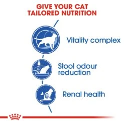 Royal Canin Indoor Adult 7+ Cat Dry Food -KONG Shop ROYA 3182550784412NEW 8