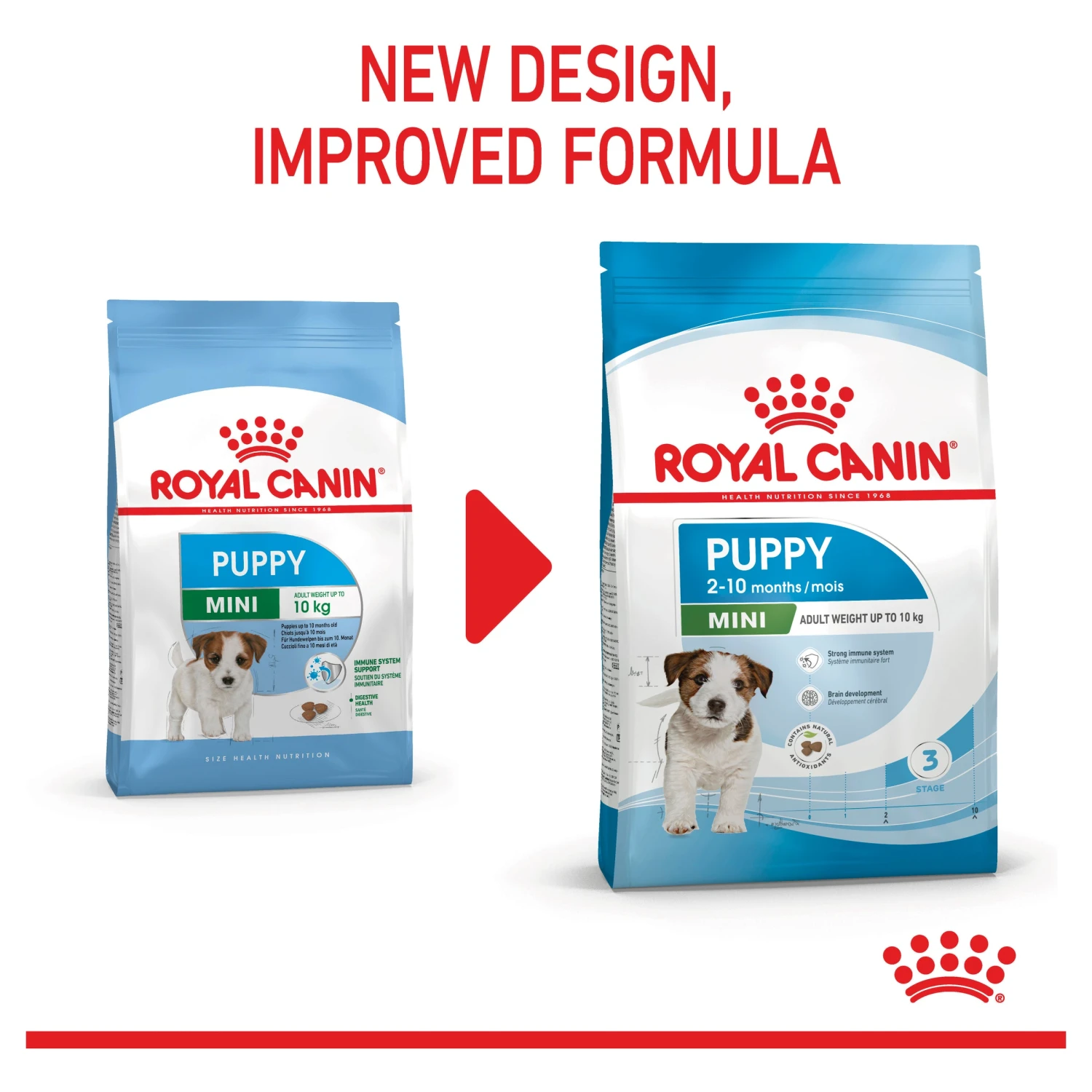 Royal Canin Mini Puppy Dry Food 5 Royal Canin Mini Puppy Dry Food - Image 3