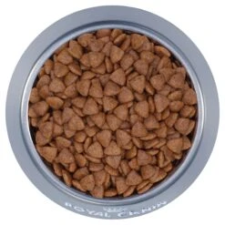 Royal Canin Mini Puppy Dry Food 11 Royal Canin Mini Puppy Dry Food -KONG Shop ROYA 3182550793001 3