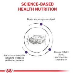 Royal Canin Expert Mature Consult Dry Cat Food -KONG Shop ROYA 3182550799423NZ2 8