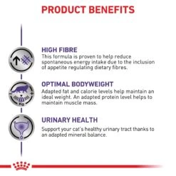 Royal Canin Expert Neutered Satiety Balance Dry Cat Food -KONG Shop ROYA 3182550799638 9