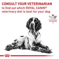Royal Canin Veterinary Anallergenic Dog Dry Food -KONG Shop ROYA 3182550801003 12