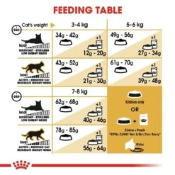 Royal Canin Ragdoll Breed Adult Dry Cat Food -KONG Shop ROYA 3182550825375NEW 12