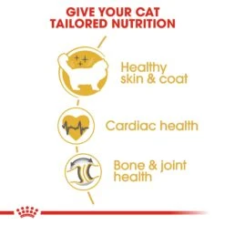 Royal Canin Ragdoll Breed Adult Dry Cat Food -KONG Shop ROYA 3182550825375NEW 8