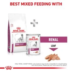 Royal Canin Veterinary Renal Select Dry Dog Food -KONG Shop ROYA 3182550842150NEW 12