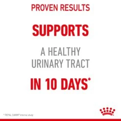 Royal Canin Urinary Care Adult Cat Dry Food -KONG Shop ROYA 3182550842952 11