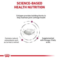 Royal Canin Veterinary Diet Mobility C2P+ Adult Dry Dog Food -KONG Shop ROYA 3182550853583 8