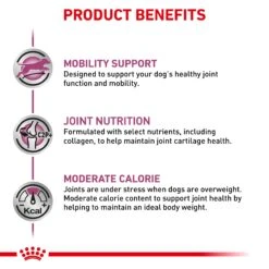 Royal Canin Veterinary Diet Mobility C2P+ Adult Dry Dog Food -KONG Shop ROYA 3182550853583 9