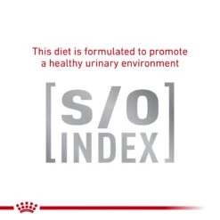 Royal Canin Veterinary Anallergenic Cat Dry Food 15 Royal Canin Veterinary Anallergenic Cat Dry Food -KONG Shop ROYA 3182550866231 10