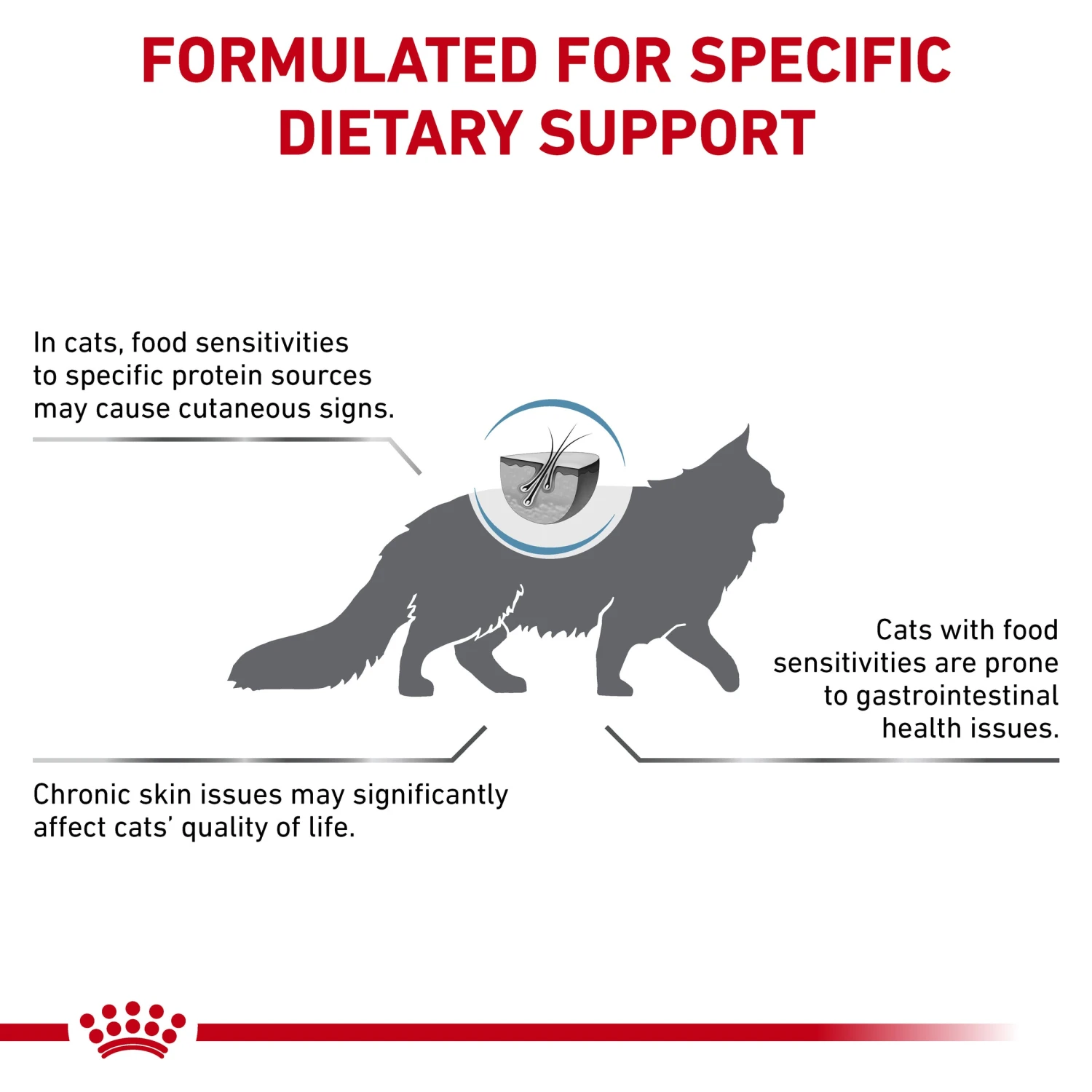 Royal Canin Veterinary Anallergenic Cat Dry Food 5 Royal Canin Veterinary Anallergenic Cat Dry Food - Image 3