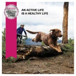 Eukanuba Mature & Senior Large Breed Dog Dry Food -KONG Shop ROYA 3182550875998NEW 10