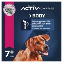 Eukanuba Mature & Senior Large Breed Dog Dry Food -KONG Shop ROYA 3182550875998NEW 13