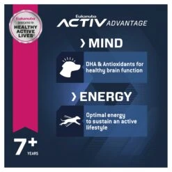 Eukanuba Mature & Senior Large Breed Dog Dry Food -KONG Shop ROYA 3182550875998NEW 14