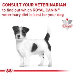 Royal Canin Veterinary Satiety Weight Management Small Breed Dry Dog Food 22 Royal Canin Veterinary Satiety Weight Management Small Breed Dry Dog Food -KONG Shop ROYA 3182550878517 14 1