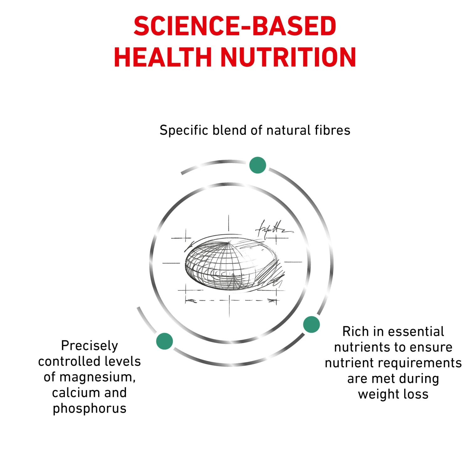 Royal Canin Veterinary Satiety Weight Management Small Breed Dry Dog Food 5 Royal Canin Veterinary Satiety Weight Management Small Breed Dry Dog Food - Image 3