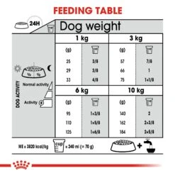 Royal Canin Dental Care Mini Adult Dog Dry Food -KONG Shop ROYA 3182550894371 11