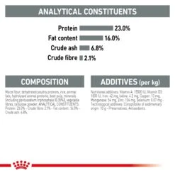 Royal Canin Dental Care Mini Adult Dog Dry Food -KONG Shop ROYA 3182550894371 12