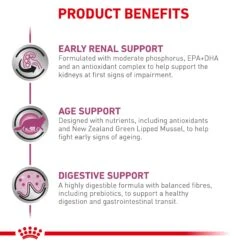 Royal Canin Veterinary Early Renal Dry Cat Food -KONG Shop ROYA 3182550914642 9
