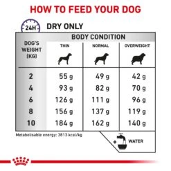 Royal Canin Expert Dental Small Breed Adult Dog Dry Food 16 Royal Canin Expert Dental Small Breed Adult Dog Dry Food -KONG Shop ROYA 3182550925334 11