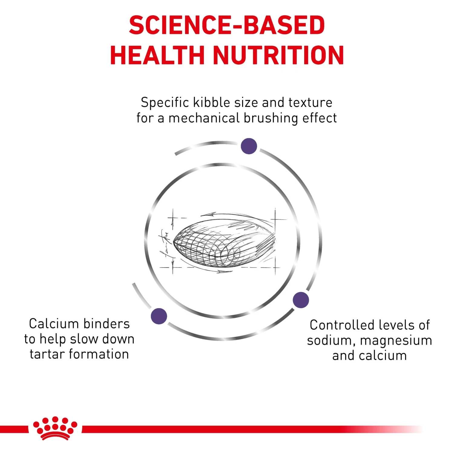 Royal Canin Expert Dental Small Breed Adult Dog Dry Food 5 Royal Canin Expert Dental Small Breed Adult Dog Dry Food - Image 3