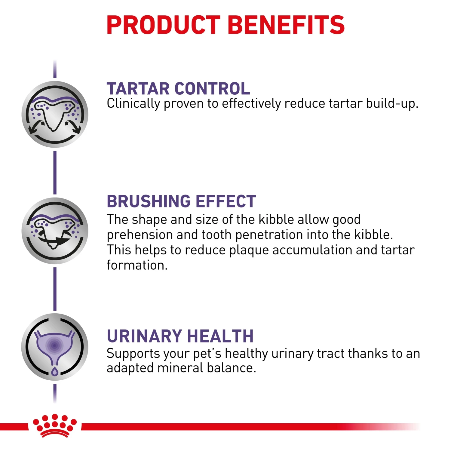 Royal Canin Expert Dental Small Breed Adult Dog Dry Food 6 Royal Canin Expert Dental Small Breed Adult Dog Dry Food - Image 4