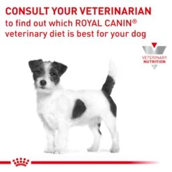 Royal Canin Veterinary Diet Skintopic Small Dog Dry Food -KONG Shop ROYA 3182550939034 14