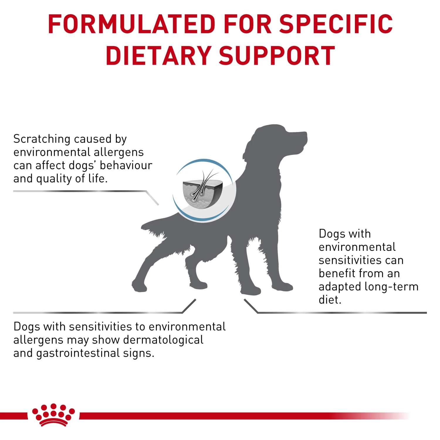 Royal Canin Veterinary Skintopic Dry Dog Food 5 Royal Canin Veterinary Skintopic Dry Dog Food - Image 3