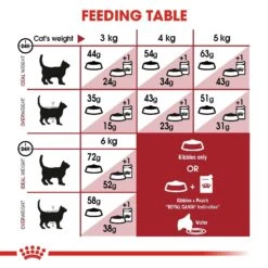 Royal Canin Fit Adult Cat Dry Food -KONG Shop ROYA 43182550702225 11