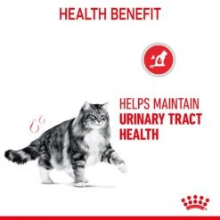 Royal Canin Urinary Care In Gravy Adult Cat Wet Food 85g Pouches -KONG Shop ROYA 9003579000366 9