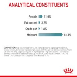Royal Canin Hairball Care In Gravy Adult Cat Wet Food 85g Pouches 22 Royal Canin Hairball Care In Gravy Adult Cat Wet Food 85g Pouches -KONG Shop ROYA 9003579000410 14
