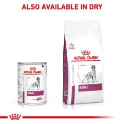 Royal Canin Veterinary Renal Wet Dog Food 410g Cans -KONG Shop ROYA 9003579000915NEW 10