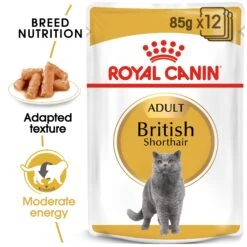 Royal Canin British Shorthair Breed Adult Cat Wet Food 85g Pouches -KONG Shop ROYA 9003579001257 7