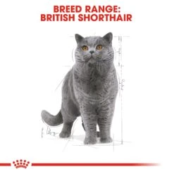 Royal Canin British Shorthair Breed Adult Cat Wet Food 85g Pouches -KONG Shop ROYA 9003579001257 9