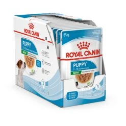 Royal Canin Mini Puppy Wet Food 85g Pouches -KONG Shop ROYA 9003579008201PROD2 8