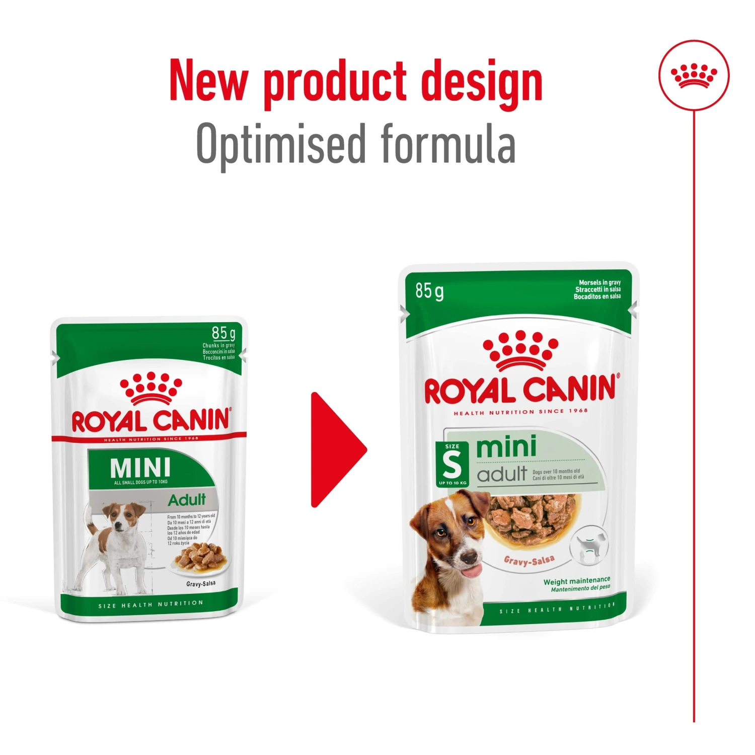 Royal Canin Mini Chunks In Gravy Adult Dog Wet Food 85g Pouches 11 Royal Canin Mini Chunks In Gravy Adult Dog Wet Food 85g Pouches - Image 9