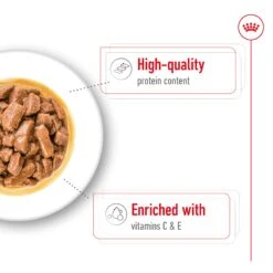Royal Canin Medium Chunks In Gravy Adult Dog Wet Food 140g Pouches -KONG Shop ROYA 9003579008379NZ 10