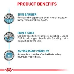 Royal Canin Veterinary Diet Skin & Coat Cat Wet Food 85g Pouches -KONG Shop ROYA 9003579011522NZ 8