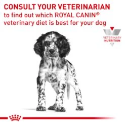Royal Canin Veterinary Gastrointestinal Puppy Wet Dog Food 195g Cans 14 Royal Canin Veterinary Gastrointestinal Puppy Wet Dog Food 195g Cans -KONG Shop ROYA 9003579013397 10
